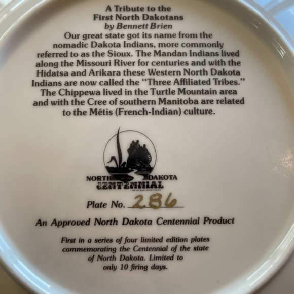 Native American Indian art plate - Picture 2 of 3